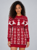 Women’s Christmas Knitted Jumper Mini Dress